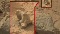 NASA ने मातीत पाणी मिसळलं आणि मंगळ ग्रहावरील एलियनचा मृत्यू झाला
