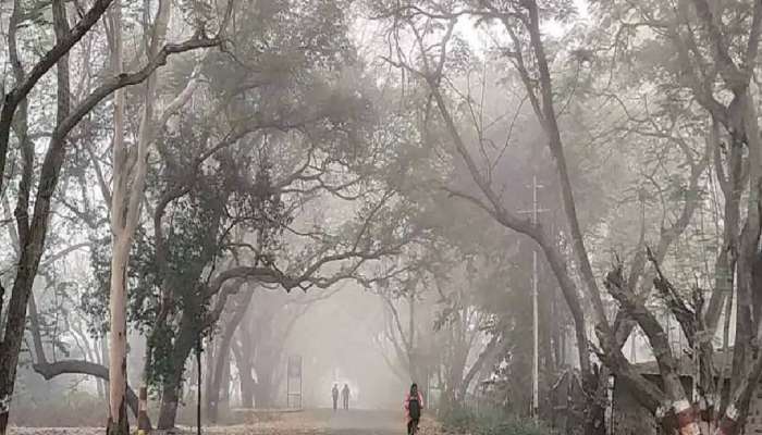 आठवड्याच्या शेवटी खुशाल करा हिवाळी सहलीचा प्लॅन; कोणत्या भागांमध्ये वाढणार थंडीचा कडाका?