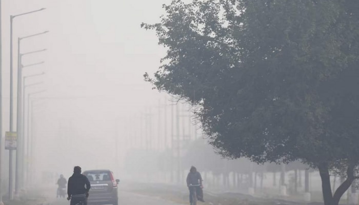 Maharashtra Weather News : दाट धुकं अन् कडाक्याची थंडी; राज्याच्या कोणत्या भागांमध्ये तापमानात घट?