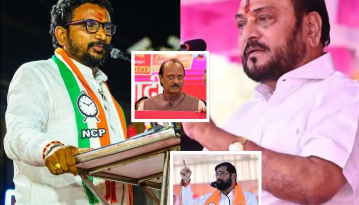'उगाच विध्वंस करुन...', 'अजित पवार सरेंडर झाले' म्हणणाऱ्या रामदास कदमांना अमोल मिटकरींचं उत्तर; 'मुलासाठी जोर लावा'