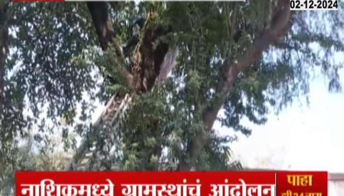 Protest by climbing a tree against the village head in nashik