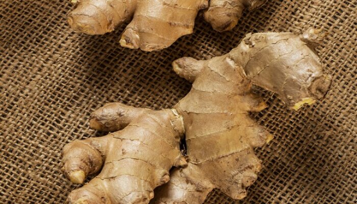 Ginger, Ginger Vegetable or Fruit, Ginger Vegetable or Spice, Is Ginger Vegetable, Is Ginger Spice, What is Ginger, आलं, आलं खाण्याचे फायदे, आलं फळ आहे की भाजी? 