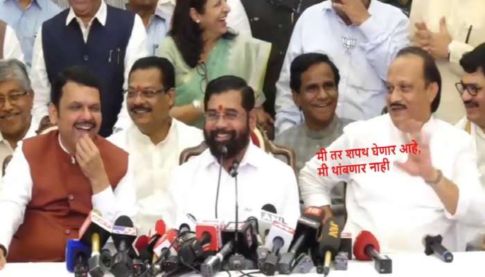'मी तर शपथ घेतोय...', शिंदे संध्याकाळपर्यंत थांबा सांगत असतानाच अजित पवारांनी सांगून टाकलं; फडणवीसांनाही हसू अनावर