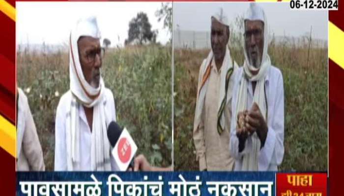 Unseasonal rain in Jalna, heavy loss of crops due to rain