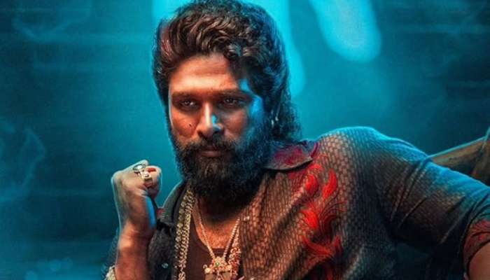 अल्लू अर्जुनच्या ‘पुष्पा: द रूल’ चित्रपटानं मोडले ‘जवान’ आणि ‘अ‍ॅनिमल’चे रेकॉर्ड, पाहा बॉक्स ऑफिस कलेक्शन