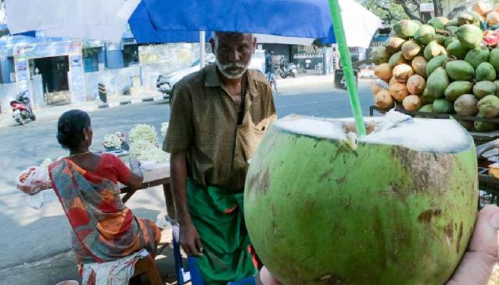 नारळ पाणी पिण्याची योग्य वेळ कोणती? 99 टक्के लोकांना माहिती नाही उत्तर