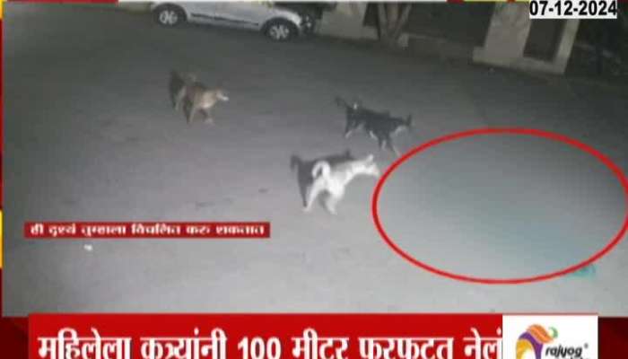  Stray dogs attack woman in Titwala The dogs chased the woman for 100 meters