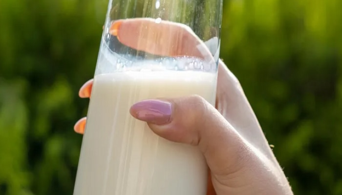 Effects of not drinking milk for 30 days, Disadvantages of quitting milk, Why is drinking milk important Symptoms of calcium deficiency, Symptoms of protein deficiency, Lactose intolerance, Milk allergy, Healthy diet, Nutritional information, Milk alternatives, Bone health, Dental health Muscle health, Digestive system, Effect of milk on the body, महिनाभर दूध न पिण्याचे शरीरावर काय परिणाम होतात? 