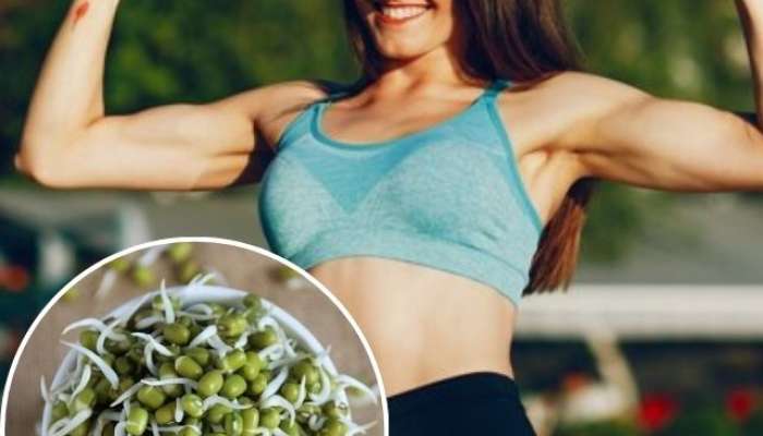 Moong dal benefits and side effects, Yellow moong dal benefits, Mung bean benefits for skin, Moong sprouts benefits for skin, lifestyle, lifestyle news, lifestyle news in marathi, health, health news, health news in marathi, 