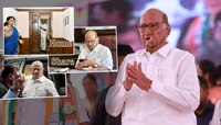 दागिने नाही सर्वाधिक गुंतवणूक शेअर्समध्ये... 85 वर्षीय शरद पवारांची एकूण संपत्ती