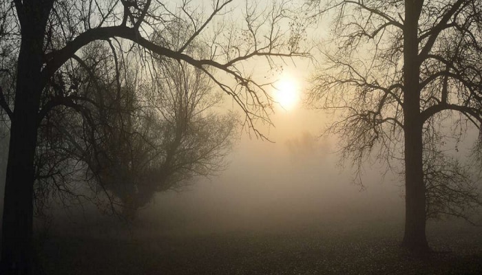 थंडी, ऊन, वारा आणि पाऊस... राज्यात एकाच वेळी सर्व ऋतूंचा अनुभव; कधीपासून वाढणार गारठा?