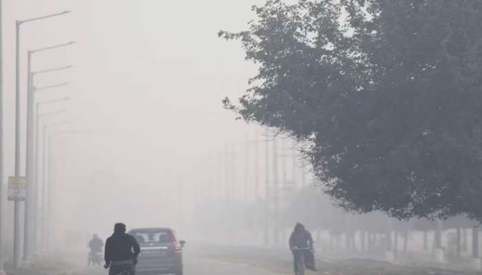 महाराष्ट्रात हाडं गोठवणारी थंडी पडणार? गारठा वाढणार, हवामान विभागाचा अंदाज काय सांगतो वाचा