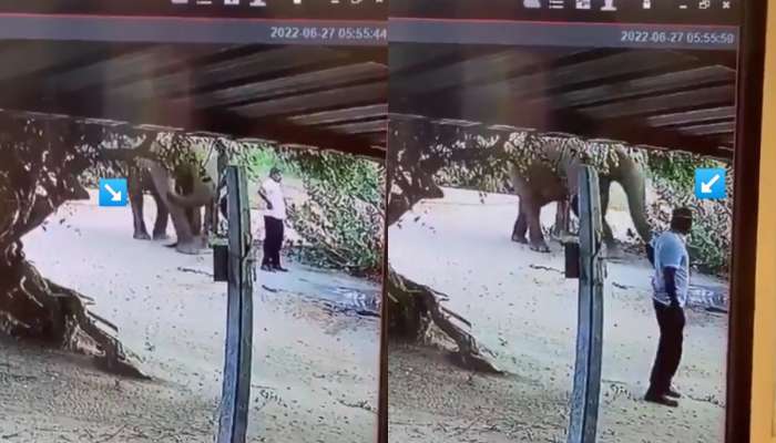'तू माझ्या रस्त्यात आहेस,' हत्तीने रस्त्यात उभ्या व्यक्तीला शांतपणे बाजूला केलं; पाहा गोड VIDEO