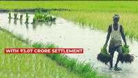 3.07 कोटींची पोटगी देण्यासाठी 70 वर्षीय शेतकऱ्याने विकली शेतजमीन; 18 वर्षांनंतर...