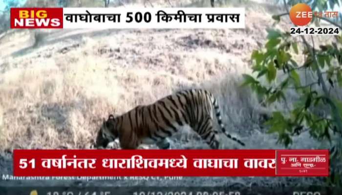 Meta information for Tiger 500 Km Journey