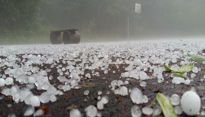 Maharashtra Weather News : गारपिटीचा ऑरेंज अलर्ट; राज्याच्या कोणत्या भागांना अवकाळी झोडपणार? 