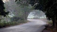 28-29 डिसेंबरमध्ये अलिबागमध्ये 'या' वाहनांना No Entry 