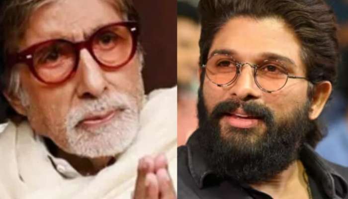'माझी अल्लू अर्जुनशी तुलना करु नका'; Allu Arjun सोबतच्या तुलनेवर बिग बींचं वक्तव्य