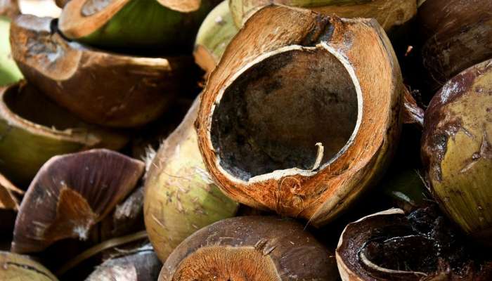 Coconut husk is very expensive and india export it in large amount