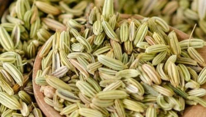 Fennel Seeds Benefits For Female, benefits of fennel seeds for female, fennel seeds benefits in marathi, lifestyle, lifestyle news, lifestyle news in marathi, health, health news, health news in marathi, 