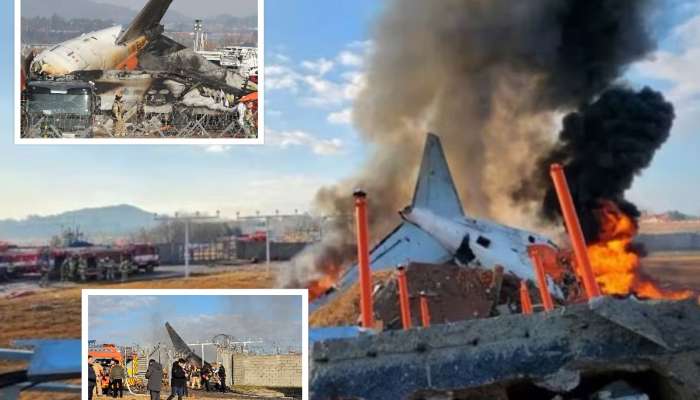 South Korea Plane Crash: &#039;मी माझे अखेरचे शब्द...,&#039; विमान दुर्घटनेआधी प्रवाशाचा कुटुंबाला मेसेज, &#039;आमच्या विमानाच्या पंख्यात...&#039;