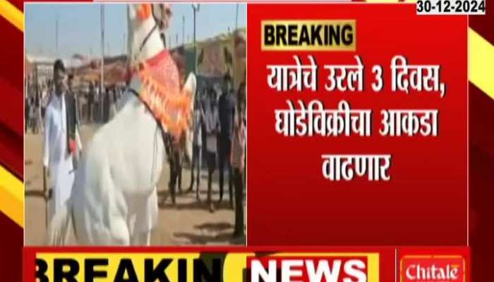 Sarangkheda Horse Market Breaks Four Year Old Record