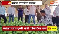 बदलत्या वातावरणाचा मोसंबीला फटका, जालन्यातील मोसंबी मार्केट आजपासून बंद 