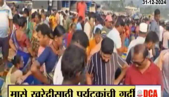 Ratnagiri Tourist Interested In Fresh Fish From Jetty 