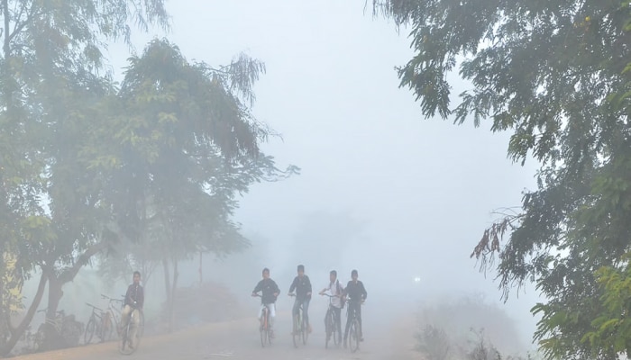 Maharashtra Weather News : यंदाच्या वर्षातील शेवटचं हवामान वृत्त; आजचा दिवस बोचऱ्या थंडीचा की अवकाळीचा? 