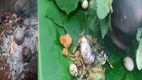महाराष्ट्रातील एकमेव पदार्थ  फक्त हिवाळ्यातच बनवला जातो; व्हेज नॉनव्हेज खाणारे खातात