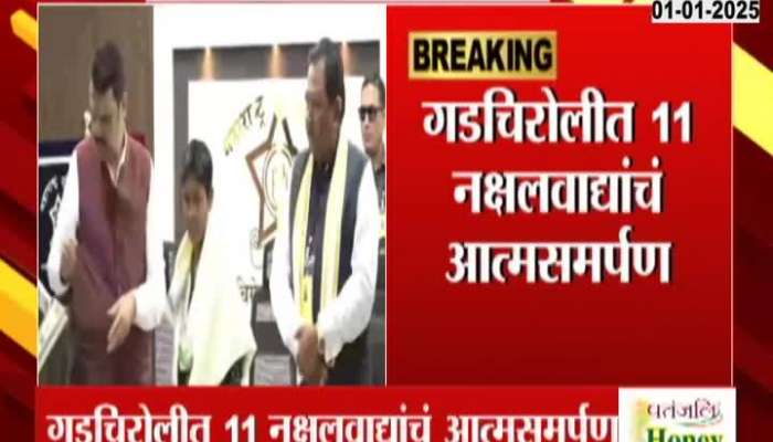 11 naxalites surrender before Chief Minister in Gadchiroli