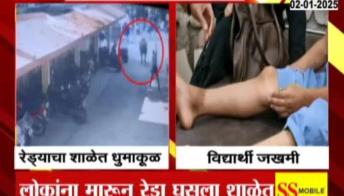 Sambhajinagar Bufallow Enter School Several Students Injured