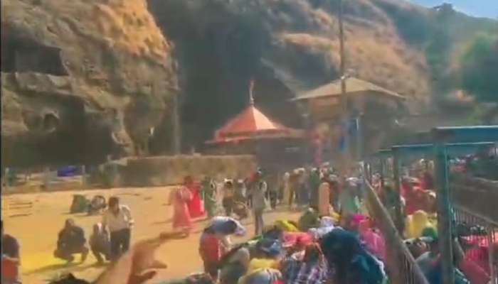 Video: वाजत-गाजत निघालेली एकवीरा देवीची पालखी; पण एक चूक केली अन् अचानक झाला मधमाशांचा हल्ला 