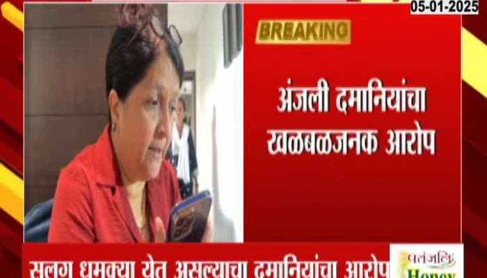 Anjali Damania Receiving Threat Calls For Beed Sarpanch Case