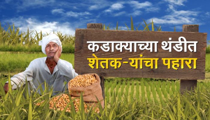 कडाक्याच्या थंडीत शेतकऱ्यांचा पहारा, जगाच्या पोशिंद्यावर का आलीय ही वेळ?
