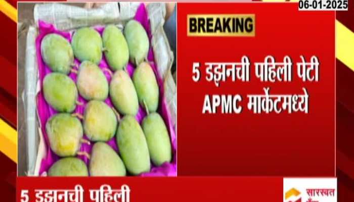 Kokan Kesar Mango First Box Arrives Navi Mumbai APMC