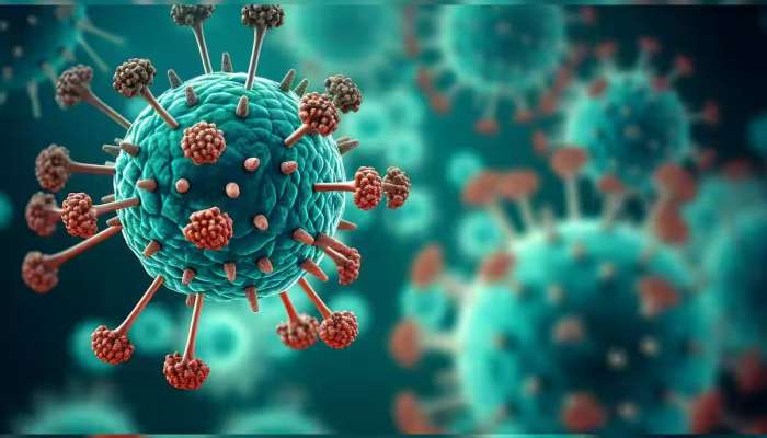 HMPV Outbreak : कोरोनापेक्षा किती वेगळा आहे HMPV? तुमच्या सर्व प्रश्नांची उत्तरं!