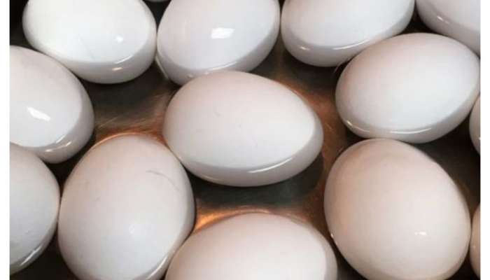 fake egg, local egg, identify local egg, identify fake egg, real and fake eggs, asli aur nakli ande, lifestyle, lifestyle news, lifestyle news in marathi, 