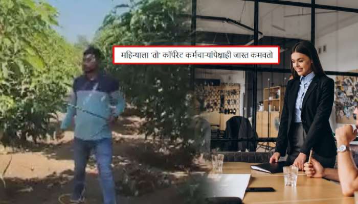 Youtube वर Video पाहून त्याने फुलवली चाफ्याची बाग! आता दर महिन्याला करतो &#039;इतकी&#039; कमाई