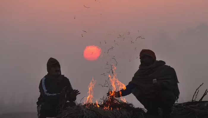 Maharashtra Weather News : हवामान बदलानं वाढवली मुंबईकरांची चिंता; पुढील 24 तासांत राज्यात असं काय होणार? 