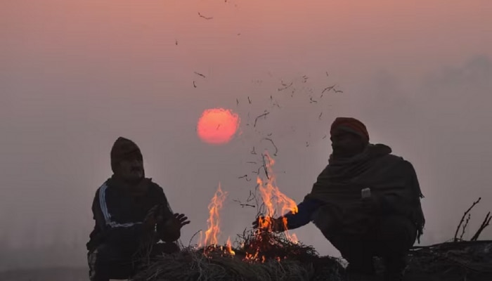 Maharashtra Weather News : हवामान बदलानं वाढवली मुंबईकरांची चिंता; पुढील 24 तासांत राज्यात असं काय होणार? 