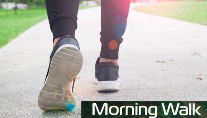 वॉकला जाताना &#039;या&#039; चुका पडू शकतात महागात, आताच पाहा Morning Walk साठीच्या खास टीप्स