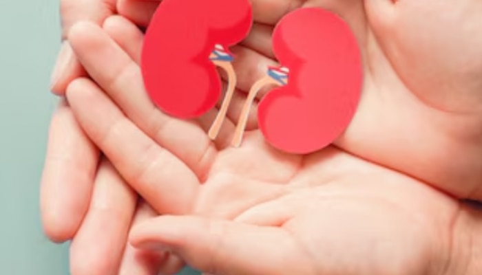 What to do to keep kidneys healthy