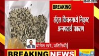 जनावरंही खाणार नाहीत असं जेवण, नाशिकमधील आश्रम शाळांमधील धक्कादायक प्रकार