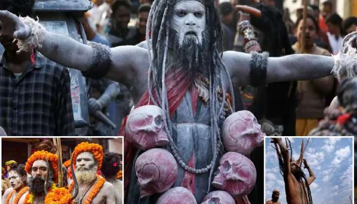 Mahakumbh 2025 : अघोरी, नागा साधूंचा मृत्यू झाल्यावर त्यांच्या मृतदेहाचं काय करतात? &#039;या&#039; परंपरेनं चीन-अमेरिकाही हैराण