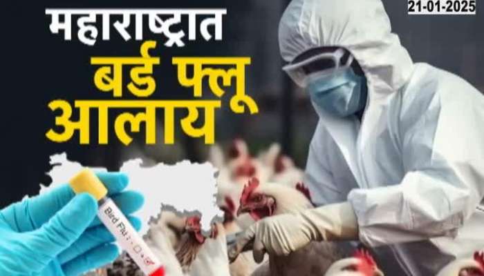 Bird Flu in Maharashtra