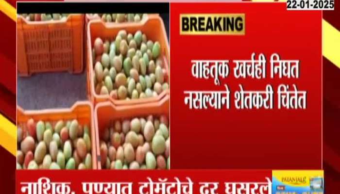 Pune Nashik Tomato Price Drops