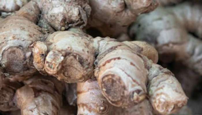 kitchen hacks in marathi how to store ginger in fridge