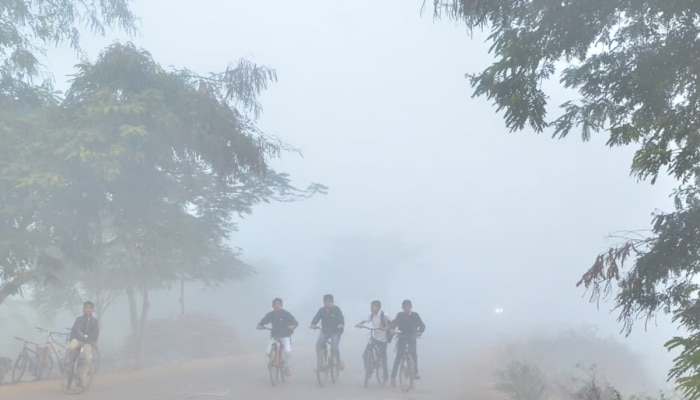 सकाळी गारवा आणि दुपारी उन्हाचा तडाखा...  IMD ने सांगितला हवामानाचा अंदाज 