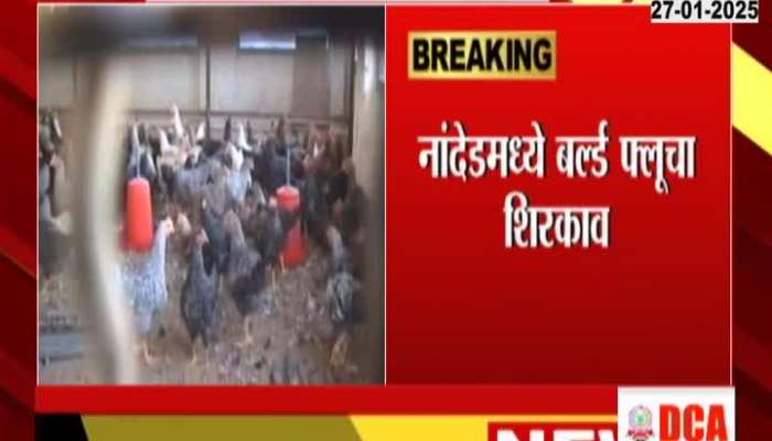 Bird Flu In Nanded District Administration On High Alert